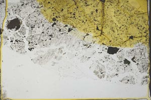 Plane Polarized, S36010
