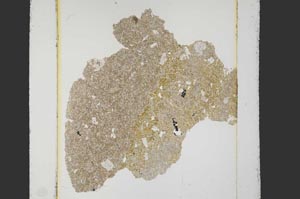 Plane Polarized, S36027