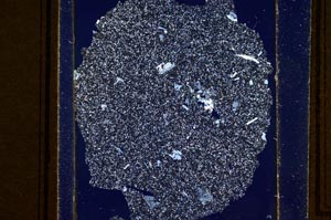 Cross Polarized, S36028