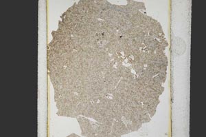 Plane Polarized, S36028