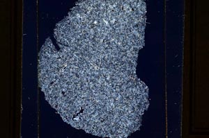 Cross Polarized, S36029