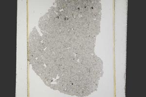 Plane Polarized, S36029