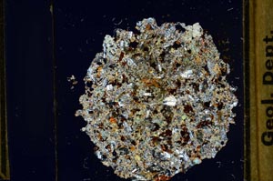 Cross Polarized, S36046