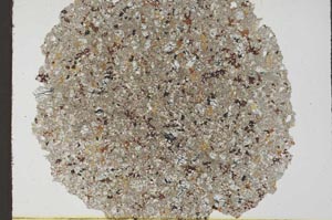 Plane Polarized, S36060