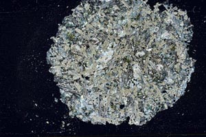 Cross Polarized, S36072