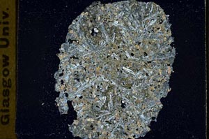 Cross Polarized, S36075/A