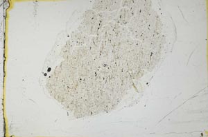 Plane Polarized, S36107