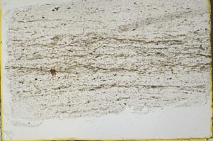 Plane Polarized, S36109