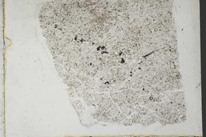 Plane Polarized, S36112