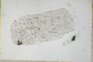 Plane Polarized, S36117