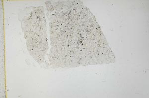 Plane Polarized, S36122