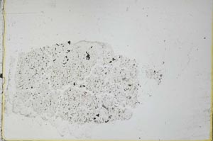 Plane Polarized, S36124