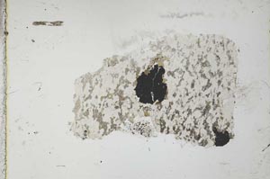 Plane Polarized, S36128