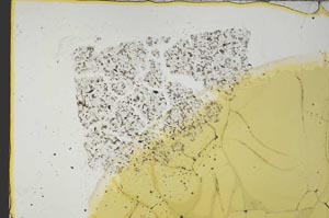 Plane Polarized, S36129