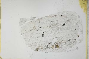 Plane Polarized, S36141
