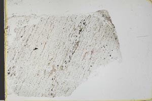 Plane Polarized, S36142