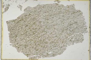 Plane Polarized, S36145