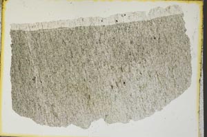 Plane Polarized, S36146