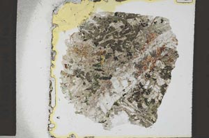 Plane Polarized, S36148