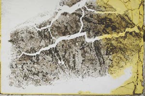 Plane Polarized, S36149/A