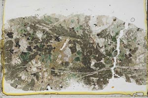 Plane Polarized, S36152