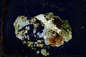 Cross Polarized, S36165