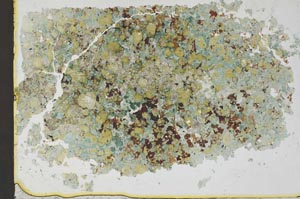 Plane Polarized, S36171