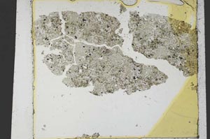 Plane Polarized, S36208