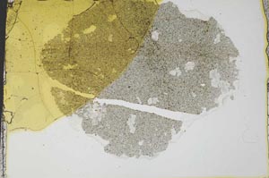 Plane Polarized, S36222