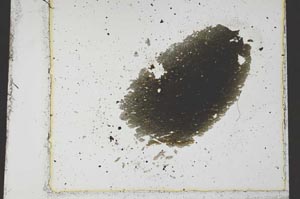 Plane Polarized, S36223