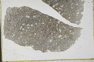 Plane Polarized, S36227
