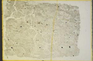 Plane Polarized, S36242