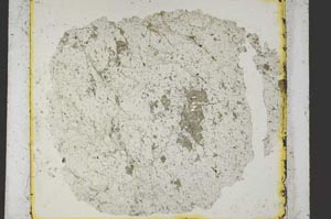 Plane Polarized, S36245