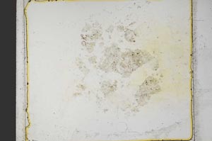 Plane Polarized, S36248/B