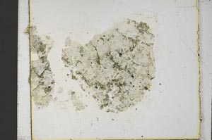 Plane Polarized, S36254/A