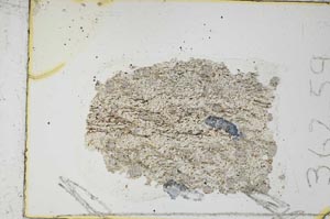 Plane Polarized, S36259