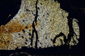 Cross Polarized, S36260