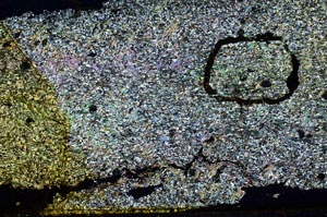 Cross Polarized, S36261