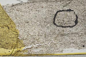 Plane Polarized, S36261