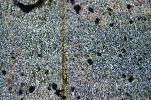 Cross Polarized, S36263