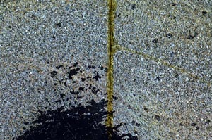 Cross Polarized, S36264