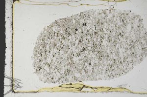 Plane Polarized, S36274