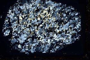 Cross Polarized, S36283