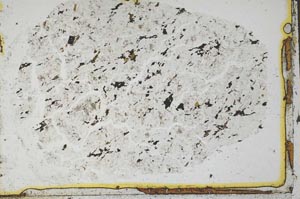 Plane Polarized, S36283