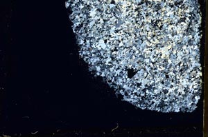 Cross Polarized, S36284