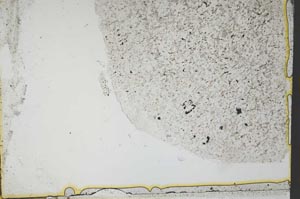 Plane Polarized, S36284