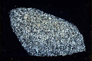 Cross Polarized, S36285