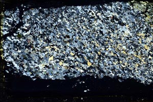 Cross Polarized, S36286