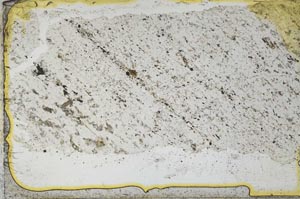 Plane Polarized, S36286