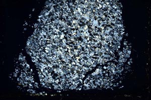 Cross Polarized, S36287